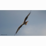 20230707 RM DSC01294.jpg